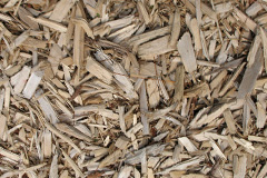 biomass boilers Goveton
